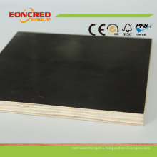 18mm Poplar/Hardwood Black/Brown Film Faced Plywood